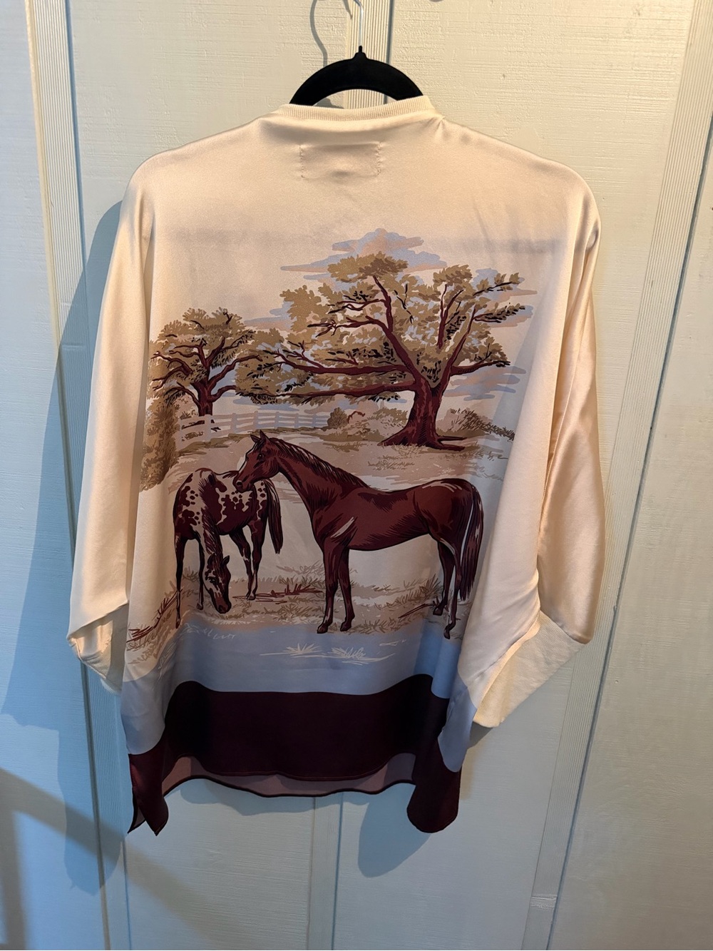 Double D Ranch Silk Cream and Brown Horse Sense V-Neck Top - Picture 3 of 3